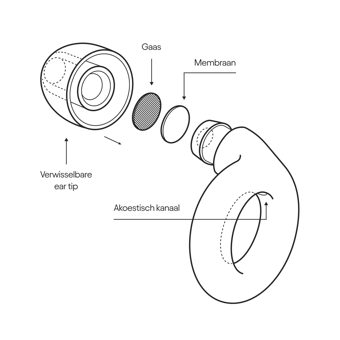 Loop Experience-oordopjes voor concerten – Gehoorbescherming met heldere geluidsweergave voor geluidsdemping, motorrijders, werk en gevoeligheid voor geluid - 8 dopjes – SNR 18 dB demping - Zilver