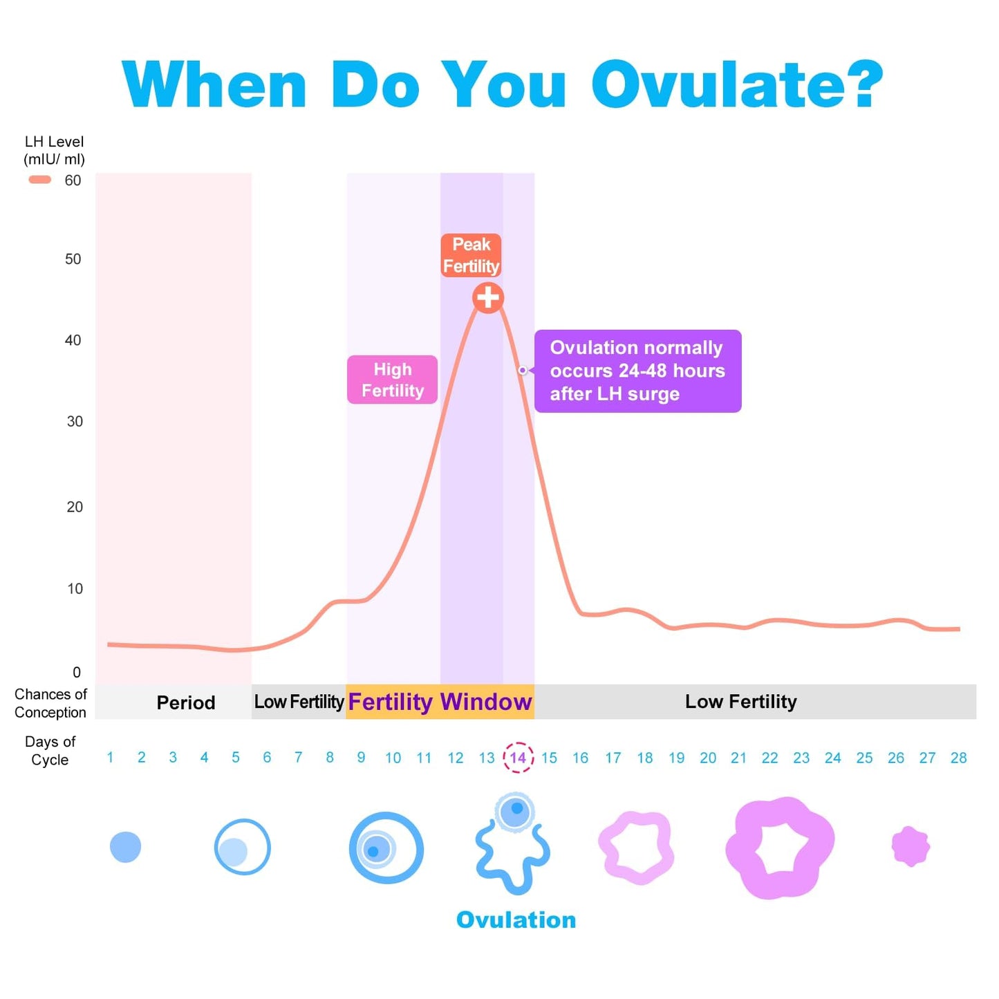 Easy@Home 50 x Ovulatietesten en 20 x Zwangerschapstesten, Met Premom Ovulatie Predictor iOS en Android App, 50 LH +20 HCG